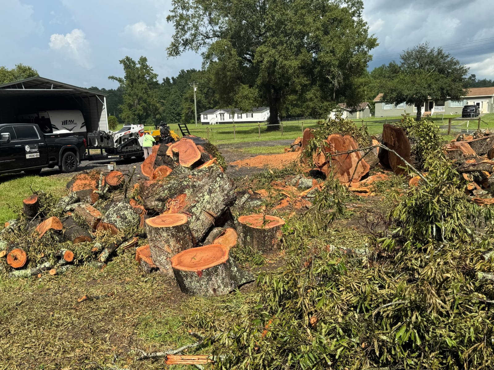 Lion Tree Service and Landscaping LLC project photo 51